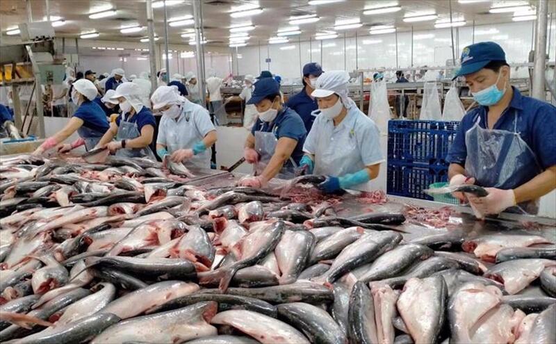 Hướng đi chủ đạo trong quý IV/2025 và năm 2026 sẽ là mở rộng Liên Minh Truyền Thông Và Game Giải Trí Top 1 sang khối CPTPP (Canada, Mexico, Malaysia, Anh) và Trung Đông.