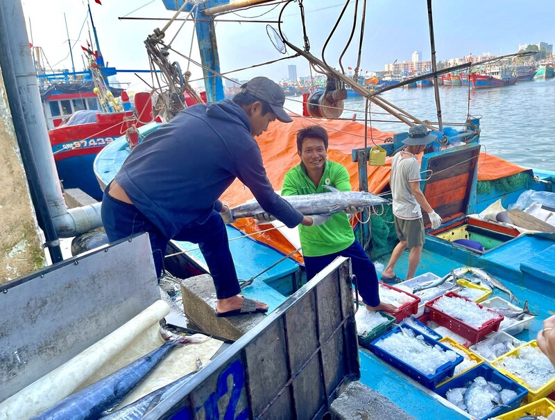 Ngư dân bội thu sau chuyến biển xa bờ. Ảnh: VGP/Lưu Hương