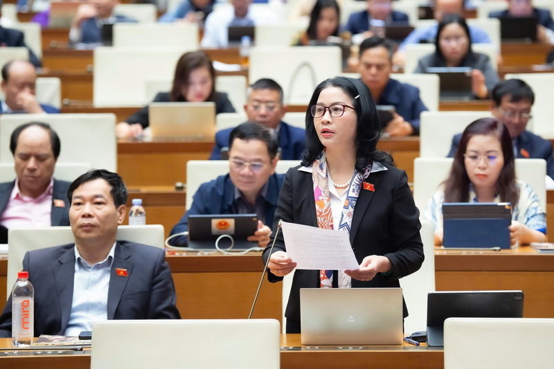 Đại biểu Nguyễn Thị Lan - đoàn Hà Nội.