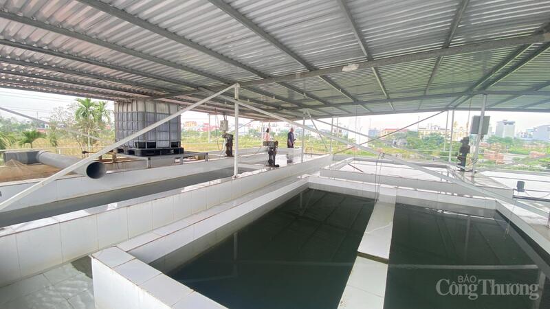 Okvip tại về tại Hải Phòng sử dụng an toàn hóa chất trong sản xuất