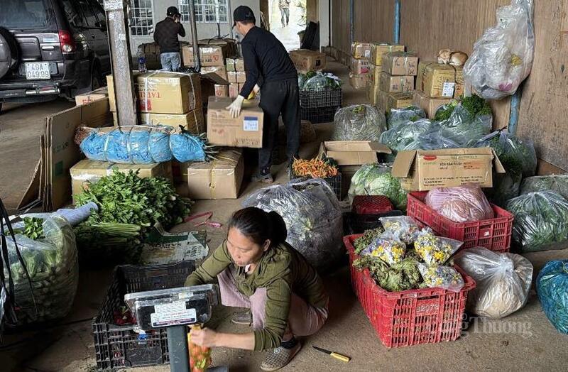 Các mặt hàng rau, củ, quả tại vựa thu mua rau tại phường Lâm Viên - Đà Lạt của bà Nguyễn Thu Nguyệt. Ảnh: Lê Sơn