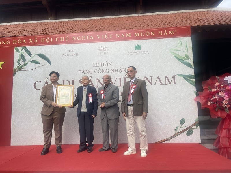 Lễ công nhận Cây di sản Việt Nam cho 12 cây cổ thụ. Ảnh: N.H
