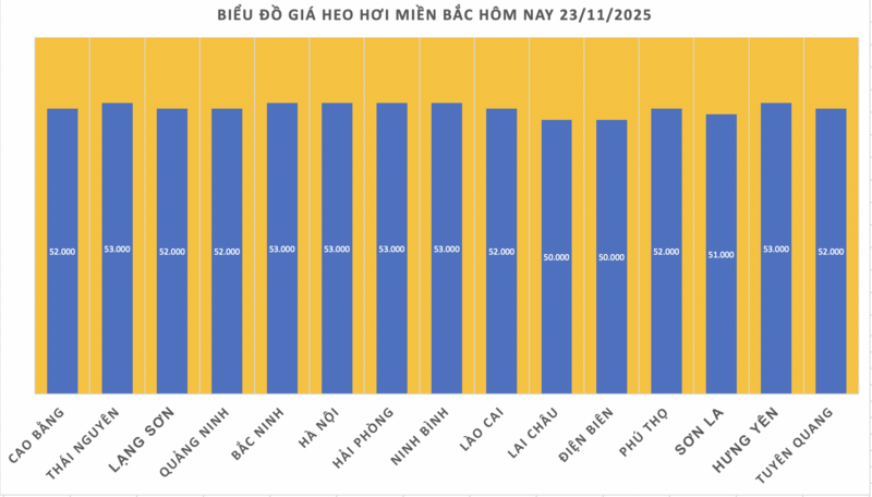 Giá heo hơi hôm nay 23/11/2025: Neo ở mức cao - 1