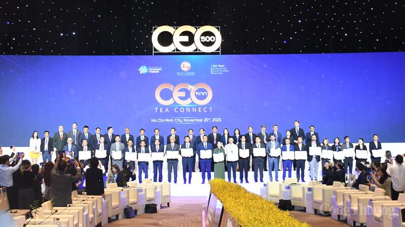 Công bố hợp tác giữa các sở, ban, ngành và doanh nghiệp Việt Nam với đối tác quốc tế, tại chương trình.