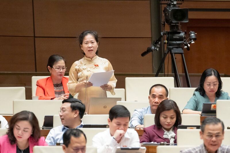 Đại biểu Tô Ái Vang - đoàn TP. Cần Thơ. Ảnh: QH