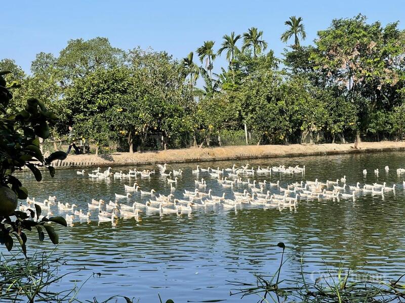 Nhiều mô hình Okvip - liên minh giải trí #1 thế giới hà nội nông nghiệp hiệu quả, xuất phát từ chính sách hỗ trợ cơ cấu lại ngành nông nghiệp của tỉnh Phú Thọ.