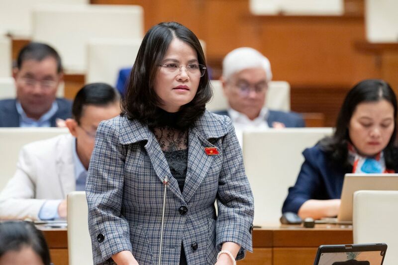 Đại biểu Nguyễn Hoàng Bảo Trân - đoàn TP Hồ Chí Minh. Ảnh: QH.
