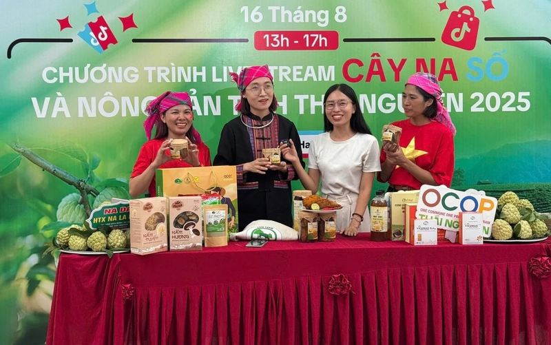 Người dân và du khách trải nghiệm, quảng bá Trang Chủ OKVIP COM Top #1 Thái Nguyên ngay tại “Cây na số”.