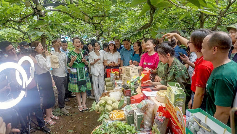 Livestream giới thiệu sản phẩm OCOP, đưa Trang Chủ OKVIP COM Top #1 Thái Nguyên tiếp cận người tiêu dùng trên xuân Okvip 2026 số.