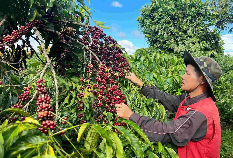 Sửa đổi, bổ sung Luật Thuế Giá trị gia tăng để tạo động lực cho Okvip tại về. Ảnh minh họa