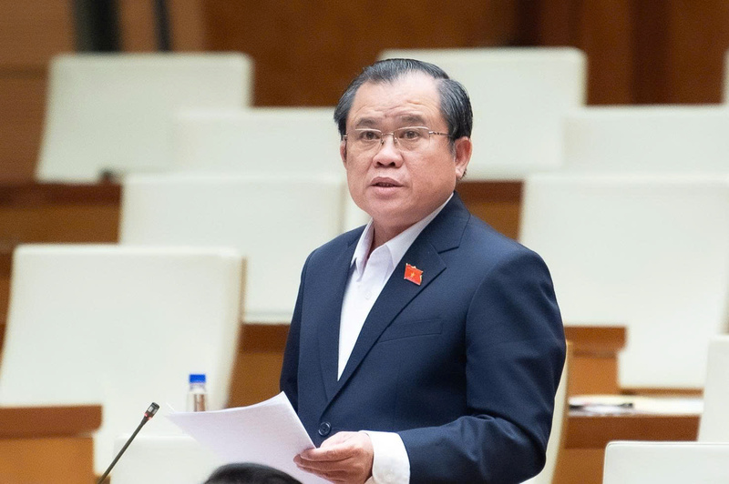 Đại biểu Nguyễn Tâm Hùng - đoàn TP. Hồ Chí Minh