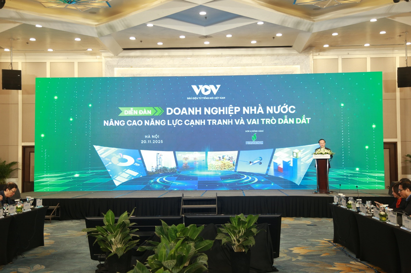 PGS.TS Ngô Trí Long: Gắn lương, thưởng với hiệu quả để nâng sức cạnh tranh DNNN - 1