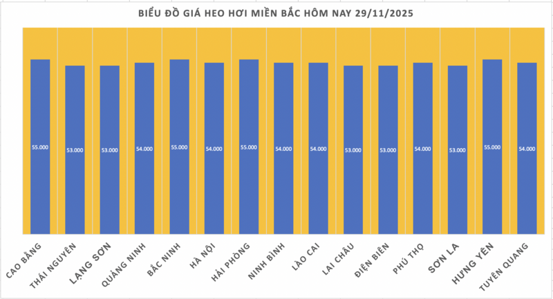 Giá heo hơi hôm nay 29/11/2025: Tăng ở cả 3 miền - 1