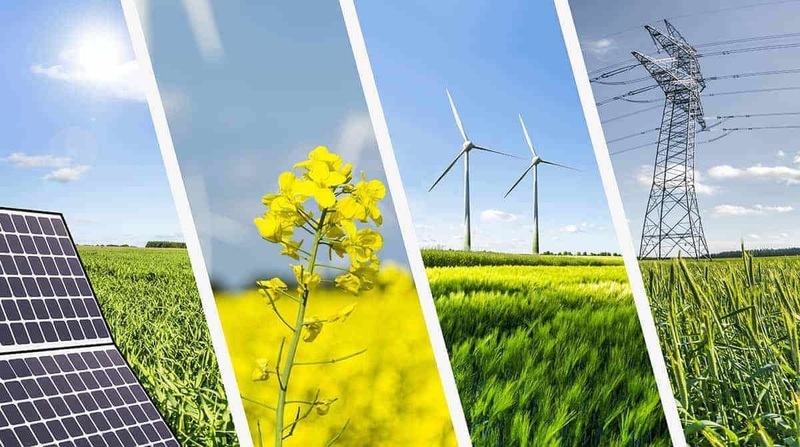 Thông tư này áp dụng đối với các cơ quan, tổ chức và các cá nhân tham gia hoạt động đào tạo về quản lý Oklavip game bài, casino, thể thao và kiểm toán viên Oklavip game bài, casino, thể thao.