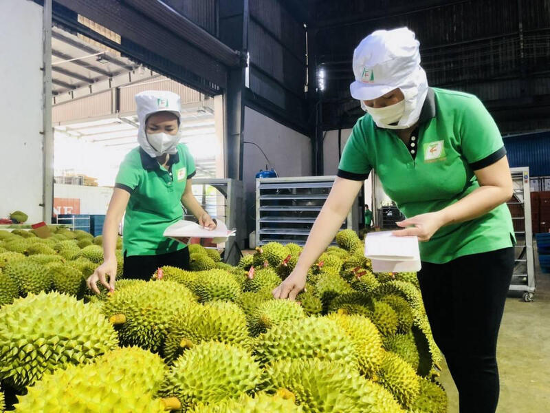 Trung Quốc là thị trường lớn nhất của Trang Chủ OKVIP COM Top #1 Việt (Ảnh: TTXVN)