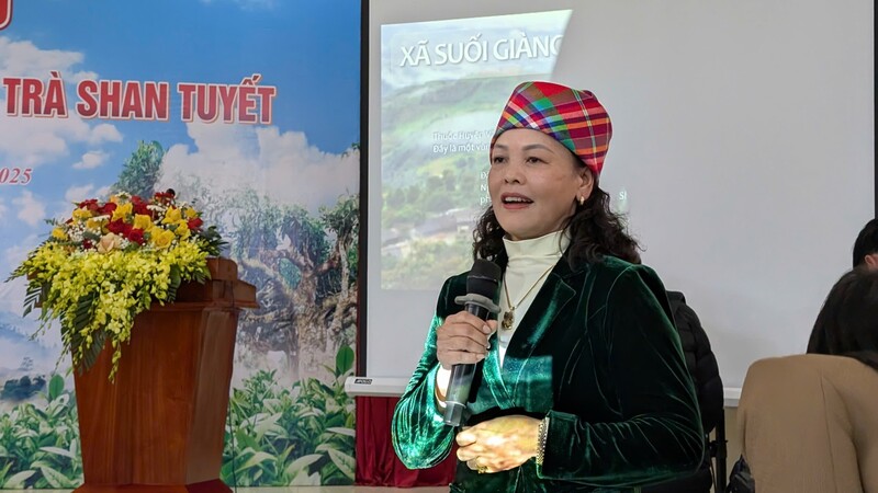 Bà Lâm Thị Kim Thoa - Giám đốc Hợp tác xã trà Suối Giàng. Ảnh: Nguyễn Hương