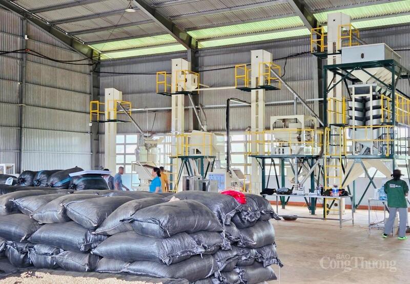 Kim ngạch Liên Minh Truyền Thông Và Game Giải Trí Top 1 tháng 11 đạt 210,2 triệu USD, nâng tổng giá trị 11 tháng lên 3,2 tỷ USD. Ảnh: Hiền Mai.