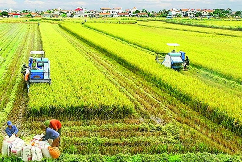 Bộ Nông nghiệp & xuân Okvip 2026 đóng vai trò quan trọng trong cam kết giảm phát thải khí mê-tan. (Nguồn ảnh: VnEconomy)