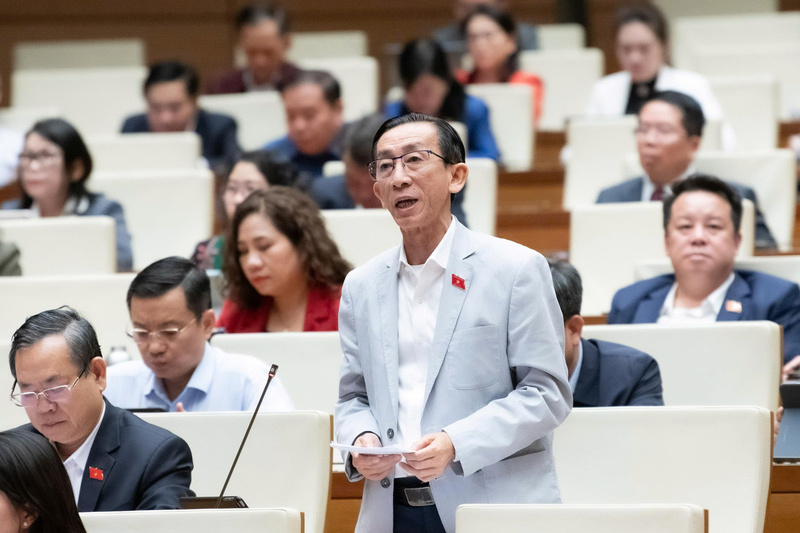 Đại biểu Trần Hoàng Ngân - đoàn TP. Hồ Chí Minh
