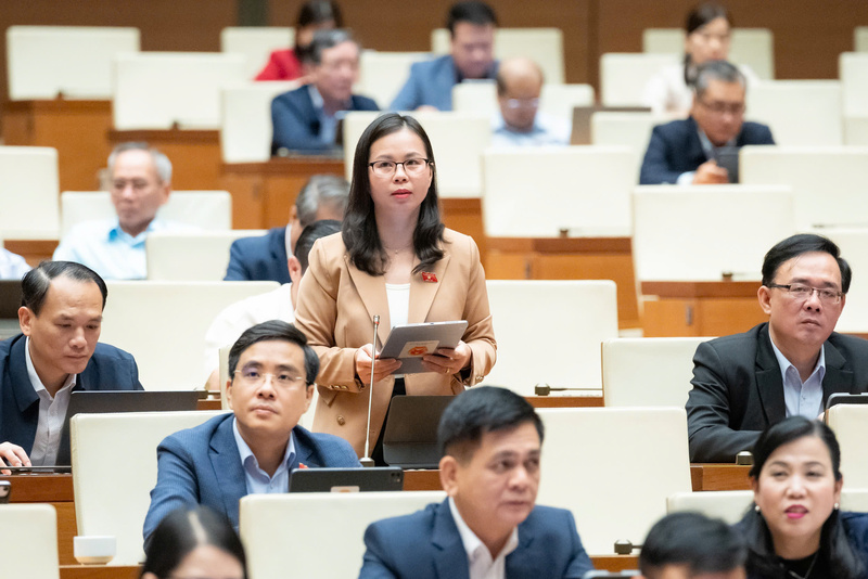 Đại biểu Chu Thị Hồng Thái - đoàn Lạng Sơn