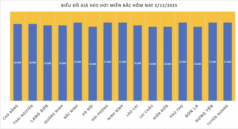 Giá heo hơi hôm nay 2/12/2025: Lập đỉnh mới - 1