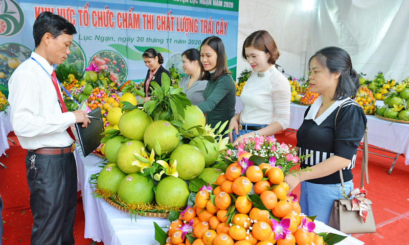 Nhiều loại đặc sản vùng miền sẽ được giới thiệu đến người dân và du khách. Ảnh: Bảo Lâm - Báo Bắc Ninh