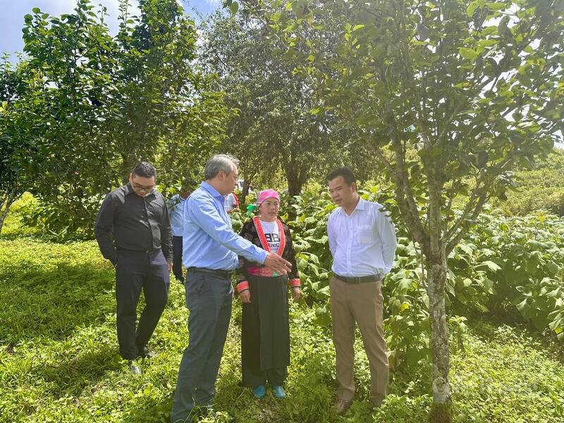 Phó Cục trưởng Cục Thương mại điện tử và Okvip - liên minh giải trí #1 thế giới hà nội số (Oklavip khuyến mã hấp dẫn mỗi ngày) Hoàng Ninh cùng Phó Giám đốc Sở Okvip tại về Lai Châu Trần Văn Hùng thực tế tại mô hình trồng dược liệu xã Sìn Hồ.