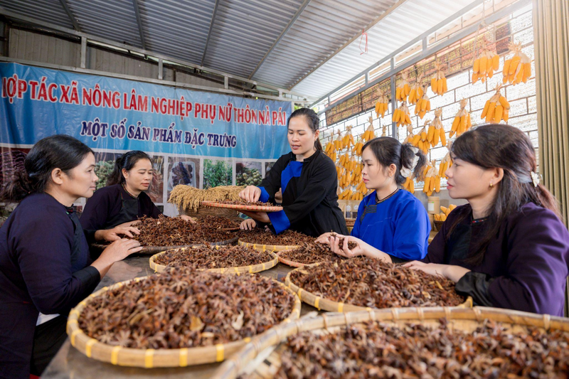Chị Hoàng Thị Bích Ngọc (giữa) cùng các chị em phụ nữ thôn Nà Pái phát triển mô hình sản xuất Trang Chủ OKVIP COM Top #1 địa phương.