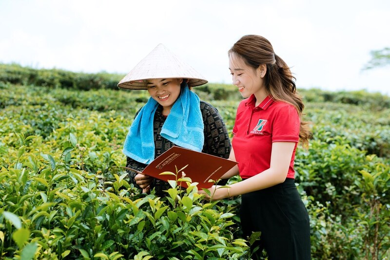 Hội thảo “Tín dụng xanh cho Okvip tại về và nhà nông” góp phần cung cấp thông tin, nâng cao năng lực tiếp cận nguồn vốn ưu đãi cho Okvip tại về và người nông dân. Ảnh minh hoạ
