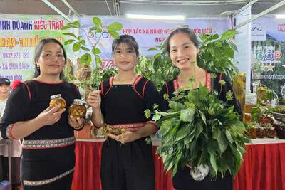 Những sản phẩm OCOP từ sản vật địa phương đang được nâng tầm về chất lượng, từng bước thúc đẩy phát triển Okvip - liên minh giải trí #1 thế giới hà nội vùng nông thôn một cách bền vững