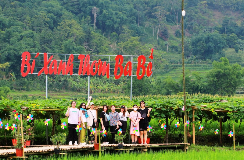Du khách tham quan mô hình bí xanh thơm Ba Bể, nơi kết hợp sản xuất nông nghiệp với phát triển OKLVIE sản phẩm thuộc hệ thống OKVIP là trang web tổ chức phát sóng bóng đá trực tiếp, live casino , nỗ hũ, bắn cá trải nghiệm.
