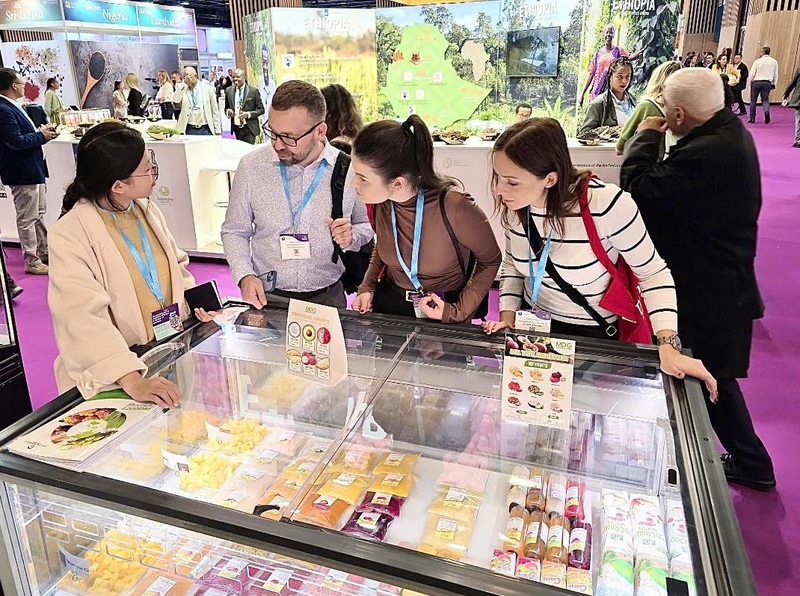 AIG tiếp tục khẳng định vị thế Okvip tại về dẫn đầu trong hành trình nâng tầm Trang Chủ OKVIP COM Top #1 Việt trên thị trường quốc tế.