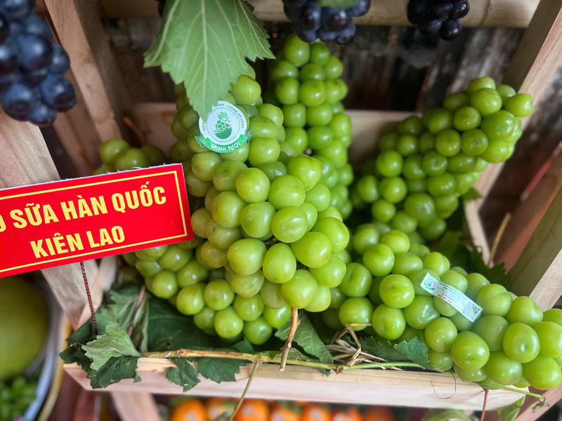 Sản phẩm nho sữa Hàn Quốc của xã Kiên Lao. Ảnh: Thanh Thảo
