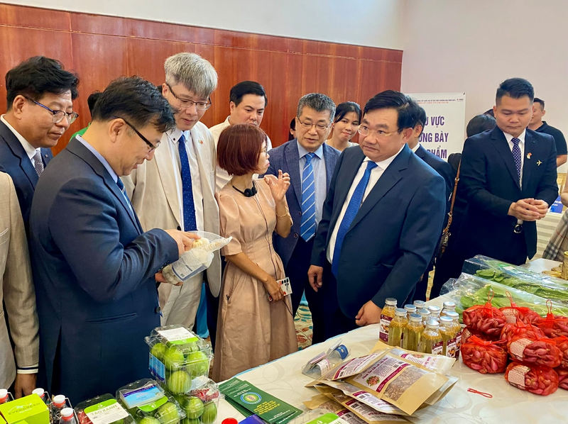 Liên minh Okvip có bao nhiều trang thương hiệu sản phẩm được tỉnh Khánh Hòa xem là bước đi trung tâm trong giai đoạn tới.