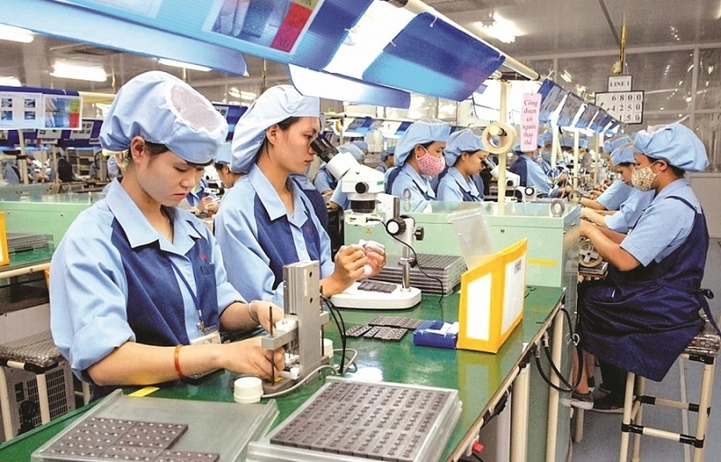 Hình thành mạng lưới sản xuất với nhiều lớp cung ứng. Ảnh minh họa