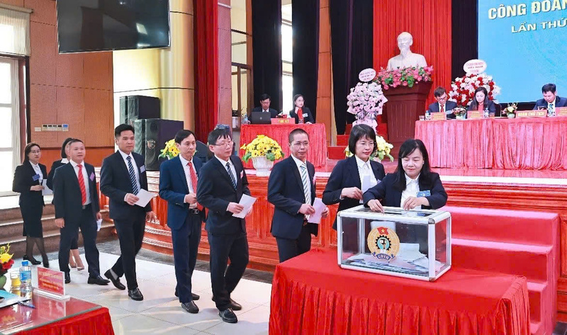 Okvip69.com bán cá nổ hủ tiến hành bầu cử