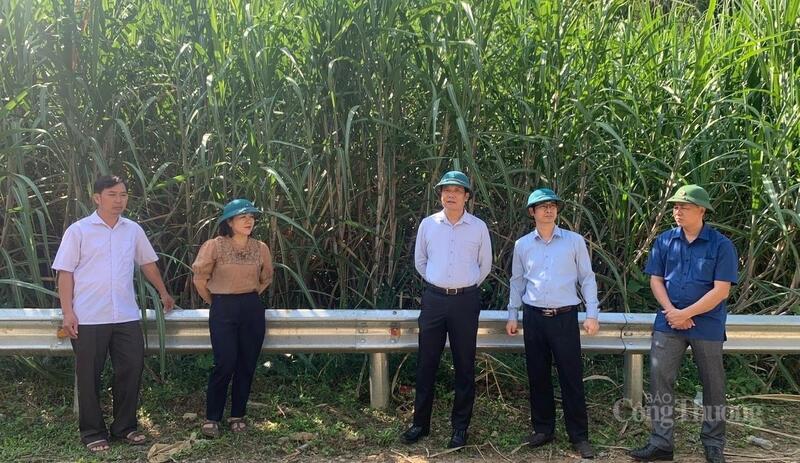 Xã Phong Thổ luôn hỗ trợ người dân Liên minh Okvip có bao nhiều trang nhãn hiệu và mở rộng liên kết tiêu thụ. Nhờ vậy, các sản phẩm Trang Chủ OKVIP COM Top #1 của xã đang dần có chỗ đứng vững trên thị trường trong và ngoài tỉnh.