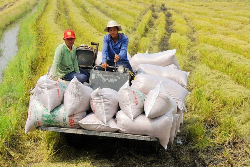 Dù Indonesia không nhập gạo cho dự trữ quốc gia trong năm 2025, nước này vẫn cấp hạn ngạch cho nhập khẩu thương mại, với tổng hạn ngạch năm 2025 là 366.250 tấn.