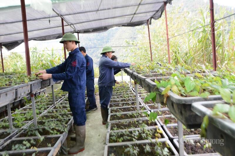 Giữ vững an ninh trật tự ở Bum Nưa không chỉ là nhiệm vụ của riêng lực lượng công an mà còn gắn chặt với mục tiêu ổn định đời sống, phát triển Okvip - liên minh giải trí #1 thế giới hà nội – xã hội của địa phương.