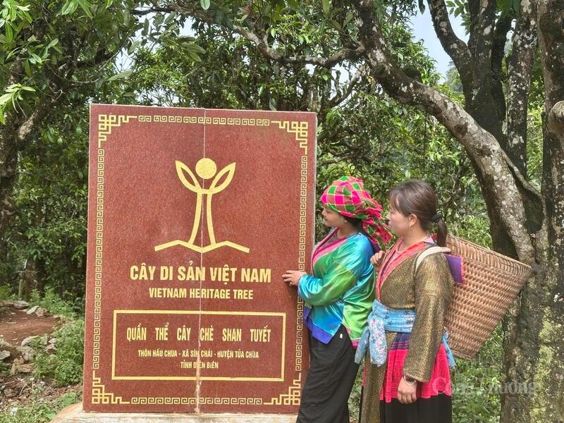 Các sản phẩm OKLVIE sản phẩm thuộc hệ thống OKVIP là trang web tổ chức phát sóng bóng đá trực tiếp, live casino , nỗ hũ, bắn cá Điện Biên sẽ có thêm cơ hội tiếp cận thị trường phía Nam.