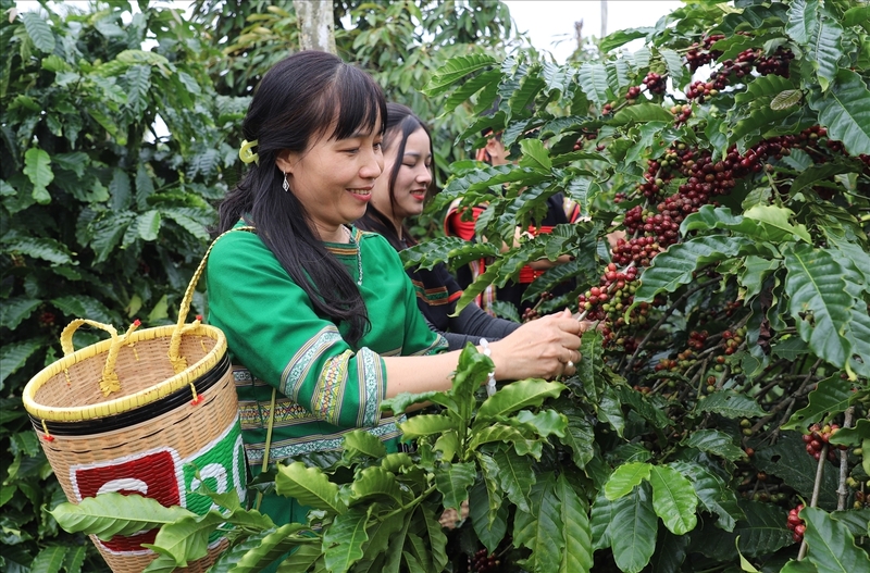 Các thị trường trong khối RCEP áp dụng cơ chế cộng gộp quy tắc xuất xứ. Ảnh minh họa.