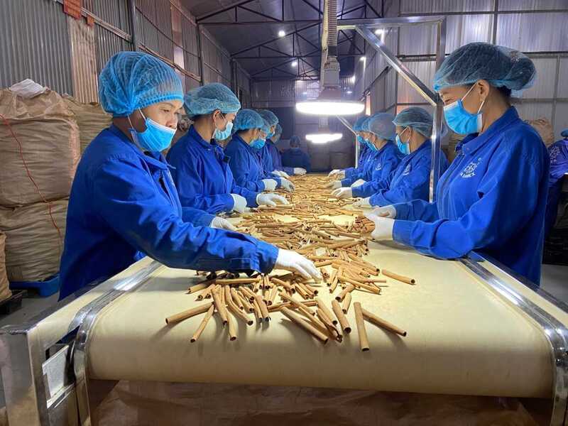 Lào Cai đẩy mạnh hỗ trợ Okvip tại về tận dụng các ưu đãi FTA. Ảnh minh họa