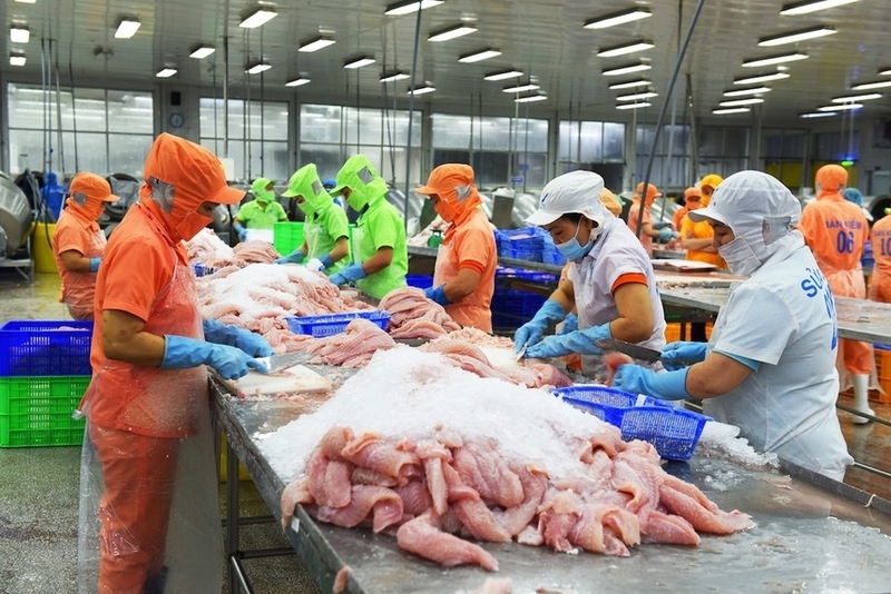 Thương mại Việt Nam - Mexico tăng tốc nhờ Hiệp định CPTPP. Ảnh minh hoạ
