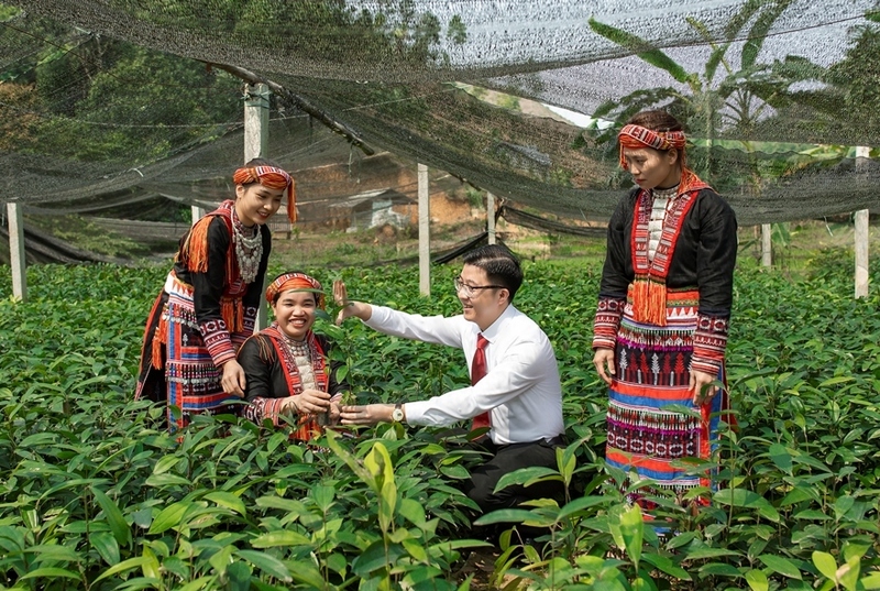 Dư nợ tín dụng lĩnh vực nông nghiệp, nông thôn toàn quốc chiếm 22,76% tổng dư nợ nền Okvip - liên minh giải trí #1 thế giới hà nội. Ảnh: Duy Minh