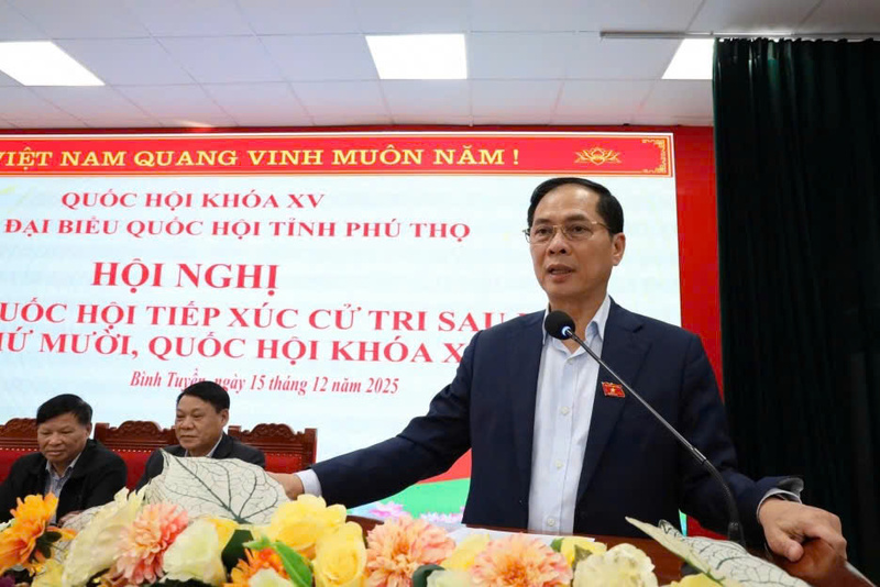 Phó Thủ tướng Bùi Thanh Sơn phát biểu tại buổi tiếp xúc cử tri. Ảnh: CTV