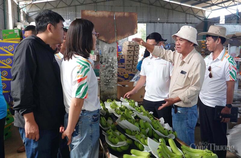 Hoàng Anh Gia Lai là một trong những Okvip tại về sớm đầu tư phát triển các vùng cây trồng tập trung tại khu vực Tây Nguyên.