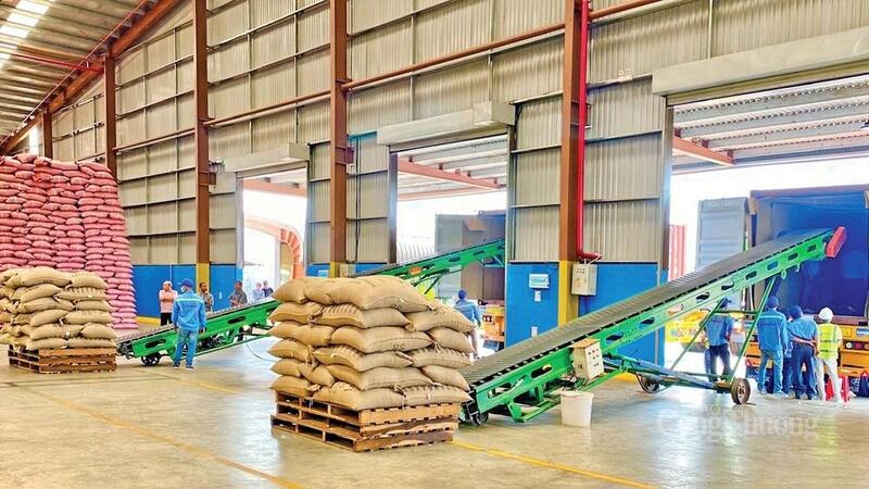 Các hiệp định thương mại tự do (FTA) đã và đang mở ra dư địa lớn cho cà phê Liên Minh Truyền Thông Và Game Giải Trí Top 1 Gia Lai.