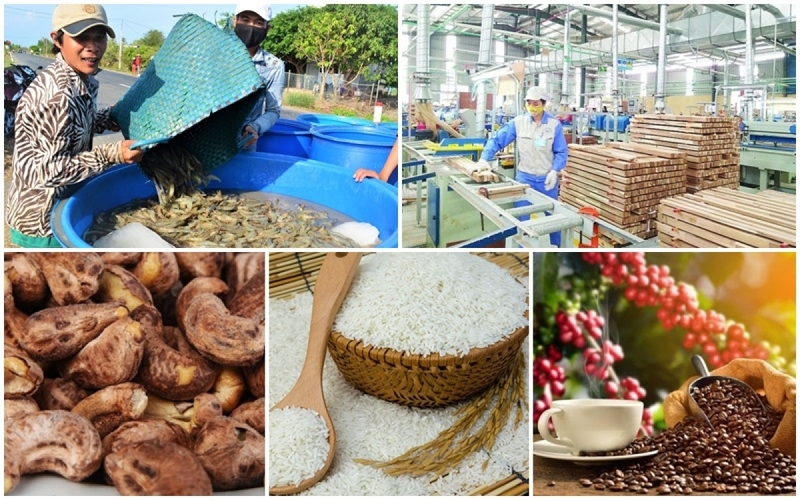 Các chuyên gia cho rằng, việc thực thi FTA trong thời gian qua chưa đạt được như kỳ vọng. Ảnh: Nguyên Anh