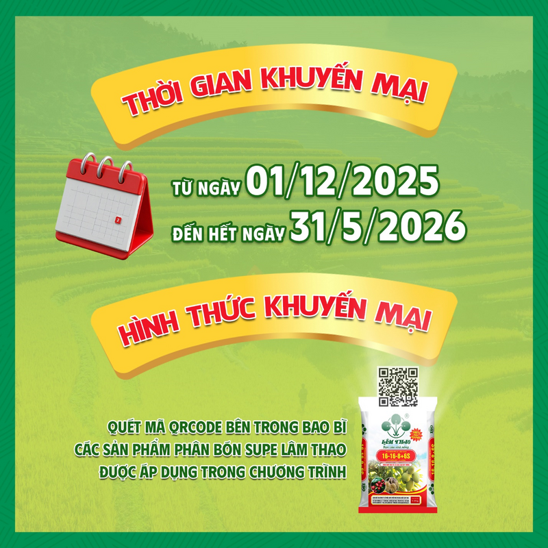 Chương trình khuyến mại “Quét mã QR – Nhận tiền liền tay” của Supe Lâm Thao sẽ diễn ra từ 1/12/2025 đến 31/5/2026 trên cả nước