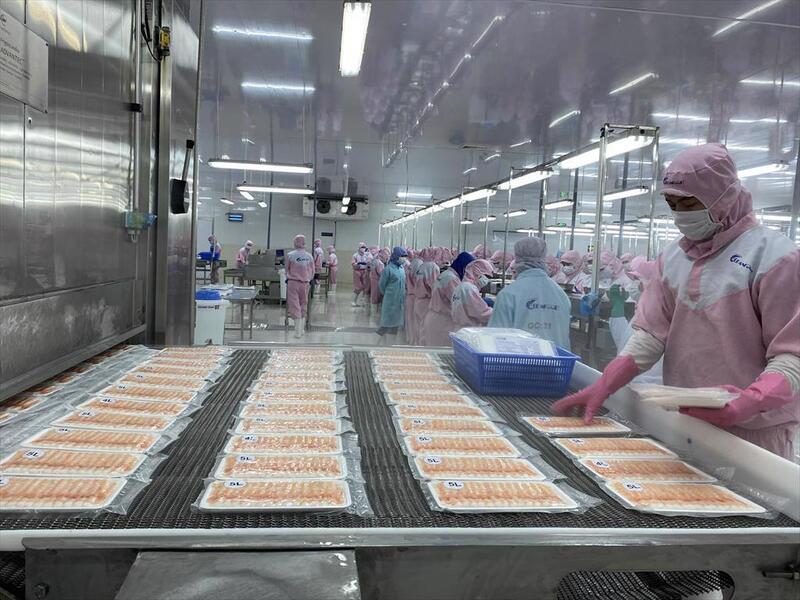 Hiện nguồn nguyên liệu thủy sản trong nước mới chỉ đáp ứng khoảng 40 - 45% nhu cầu chế biến (Ảnh: TTXVN)